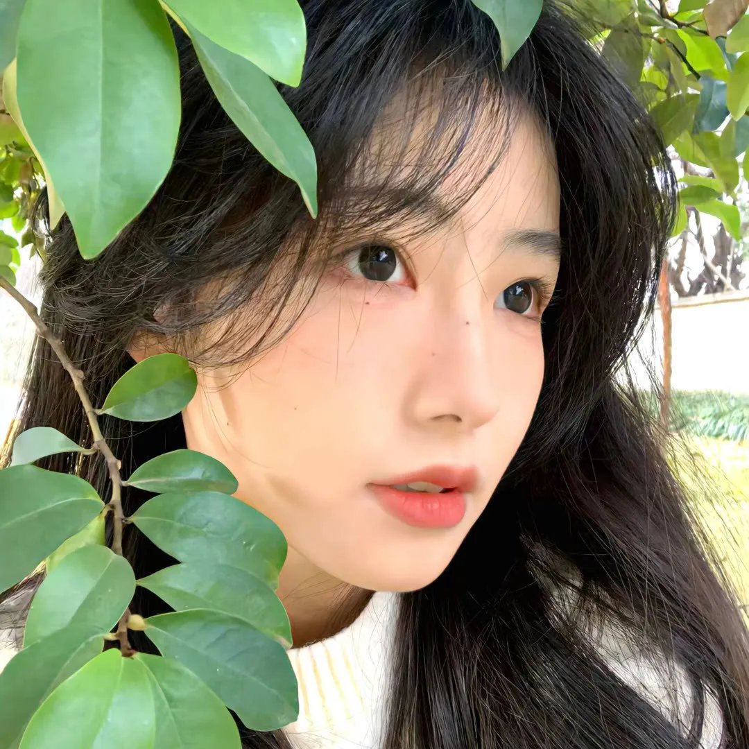圣女之歌