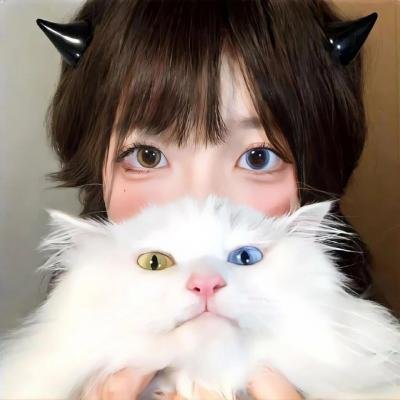牙狼：钢之继承者